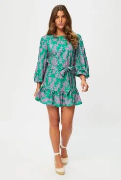 Santa Rosa Long Sleeve Mini Dress