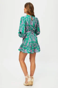 Santa Rosa Long Sleeve Mini Dress