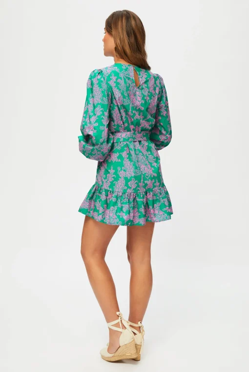 Santa Rosa Long Sleeve Mini Dress